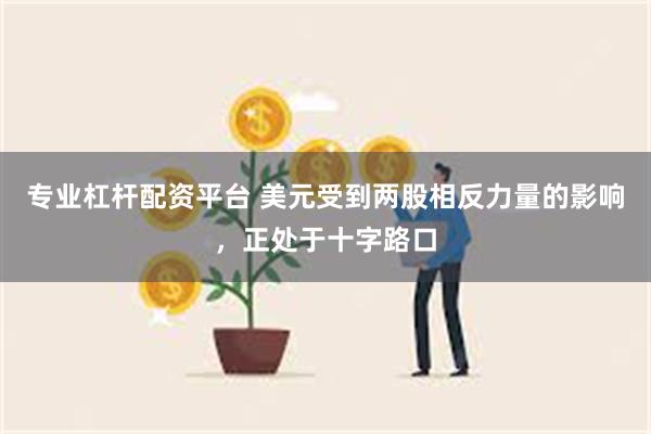 专业杠杆配资平台 美元受到两股相反力量的影响，正处于十字路口