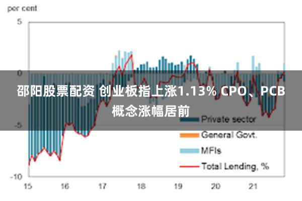 邵阳股票配资 创业板指上涨1.13% CPO、PCB概念涨幅居前