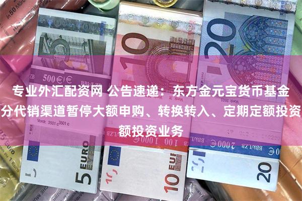 专业外汇配资网 公告速递：东方金元宝货币基金在部分代销渠道暂停大额申购、转换转入、定期定额投资业务