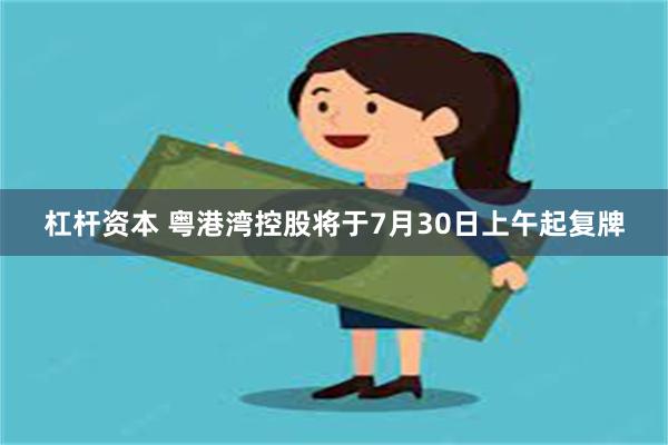 杠杆资本 粤港湾控股将于7月30日上午起复牌